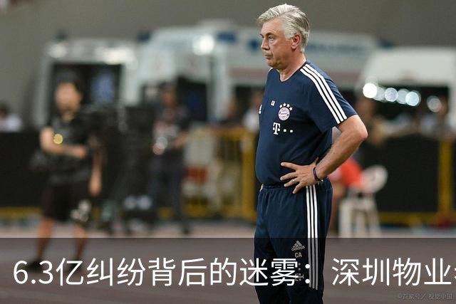 6.3亿纠纷背后的迷雾：深圳物业老板被捕，背后故事复杂